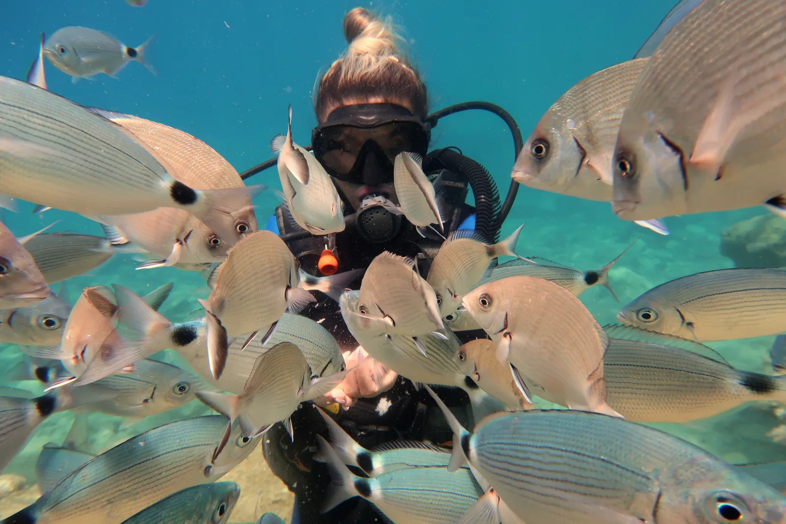 Fethiye Deneme Dalışı