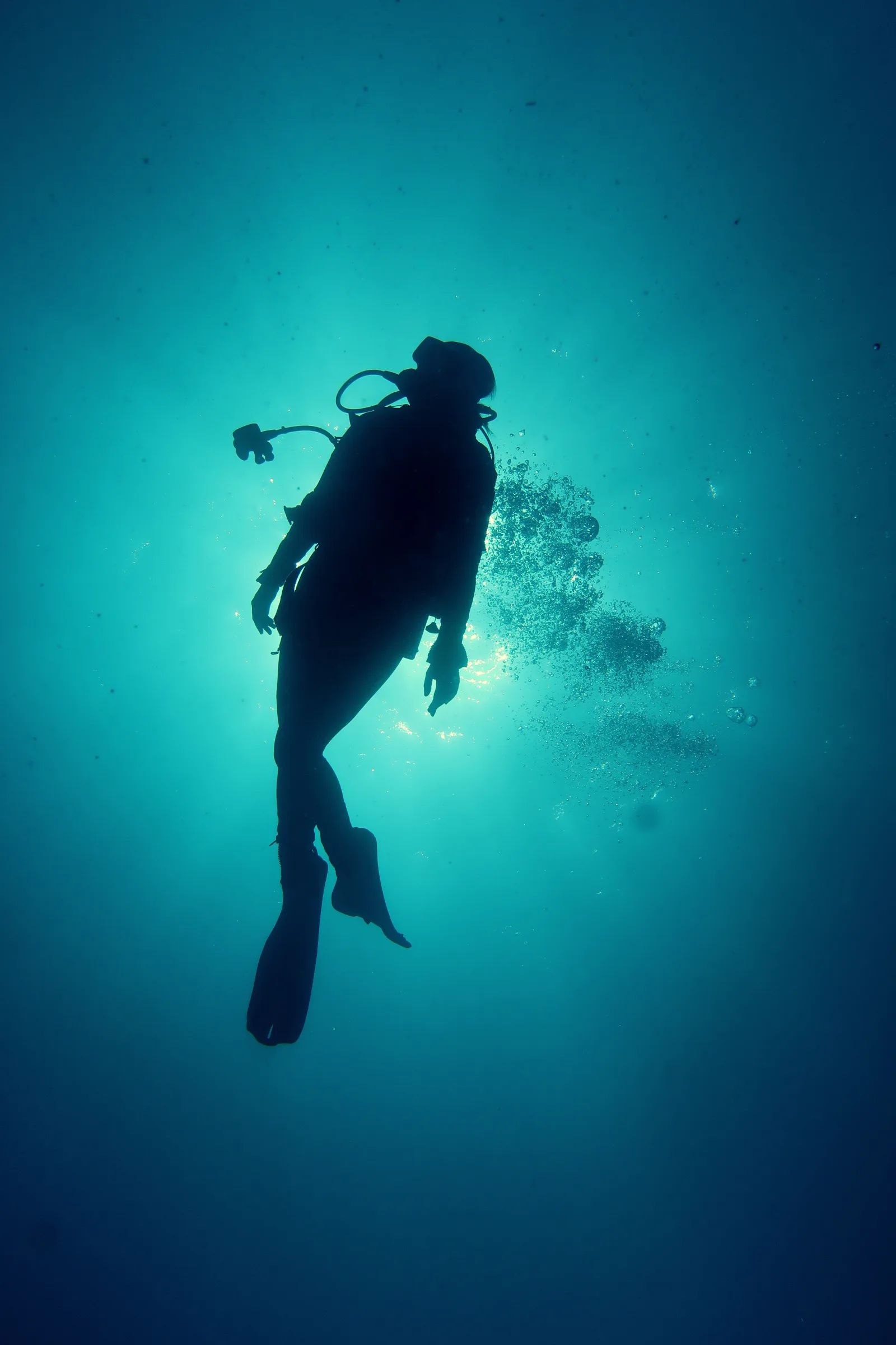 Fethiye Sertifikalı Dalış